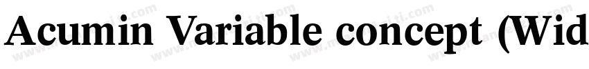 Acumin Variable concept (Wide Bold)字体转换